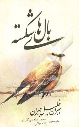 پایانه - بالهای شکسته