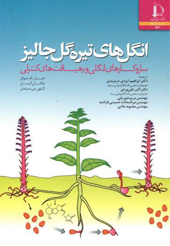 پایانه - انگل های تیره گل جالیز