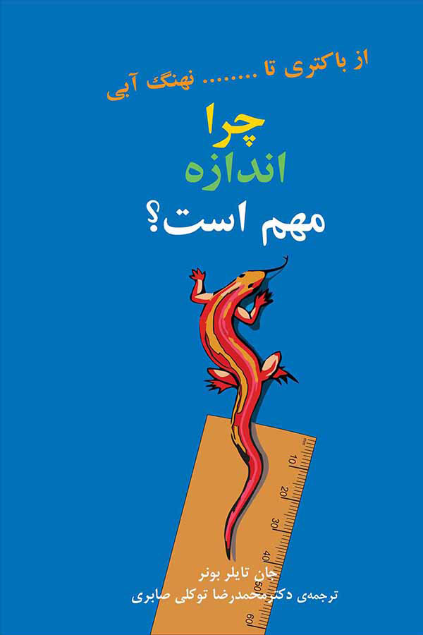 پایانه - چرا اندازه مهم است؟