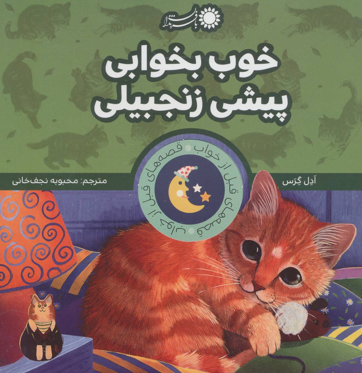 پایانه - خوب بخوابی پیشی زنجبیلی