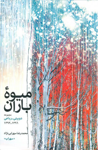 پایانه - میوه باران