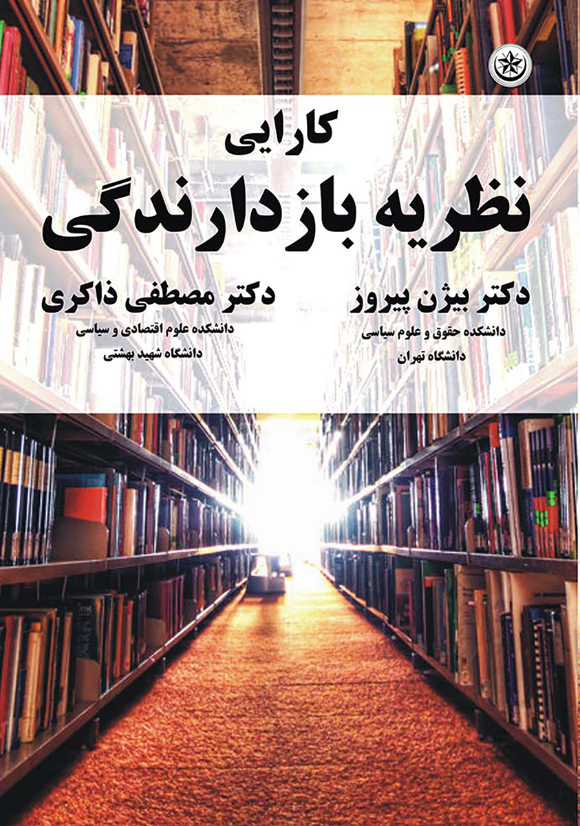 پایانه - کارایی نظریه بازدارندگی