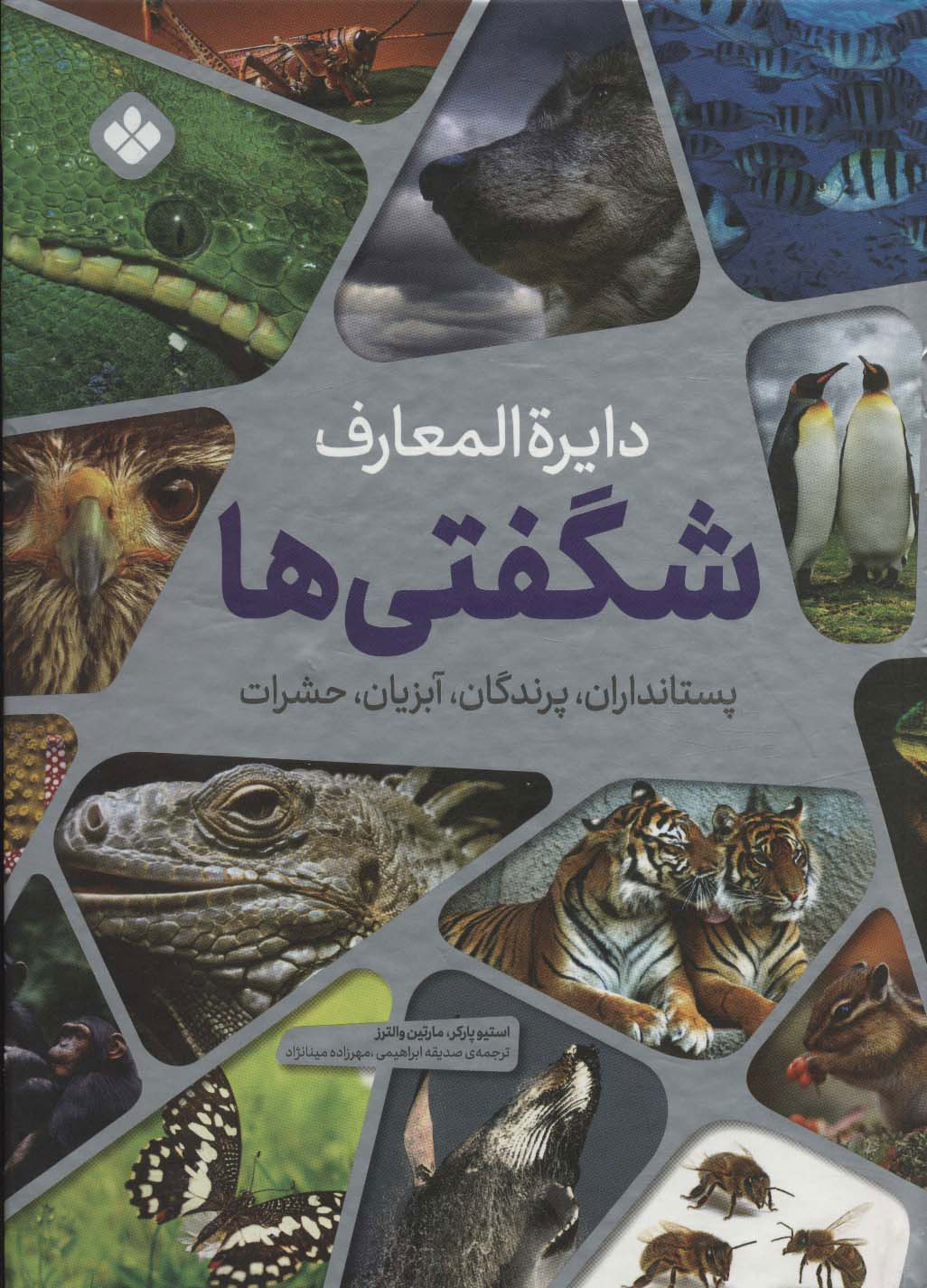 پایانه - دایره المعارف شگفتی ها