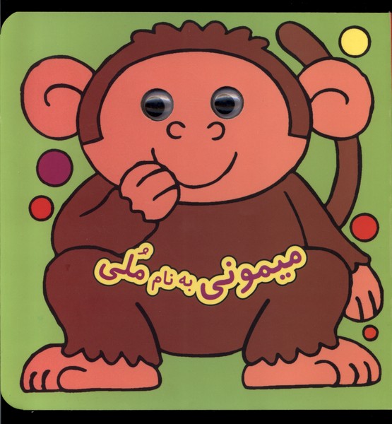 پایانه - میمونی  نام  ملی