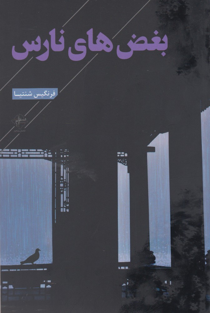 پایانه - بغض های نارس