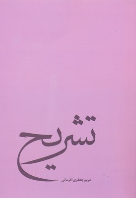 پایانه - تشریح