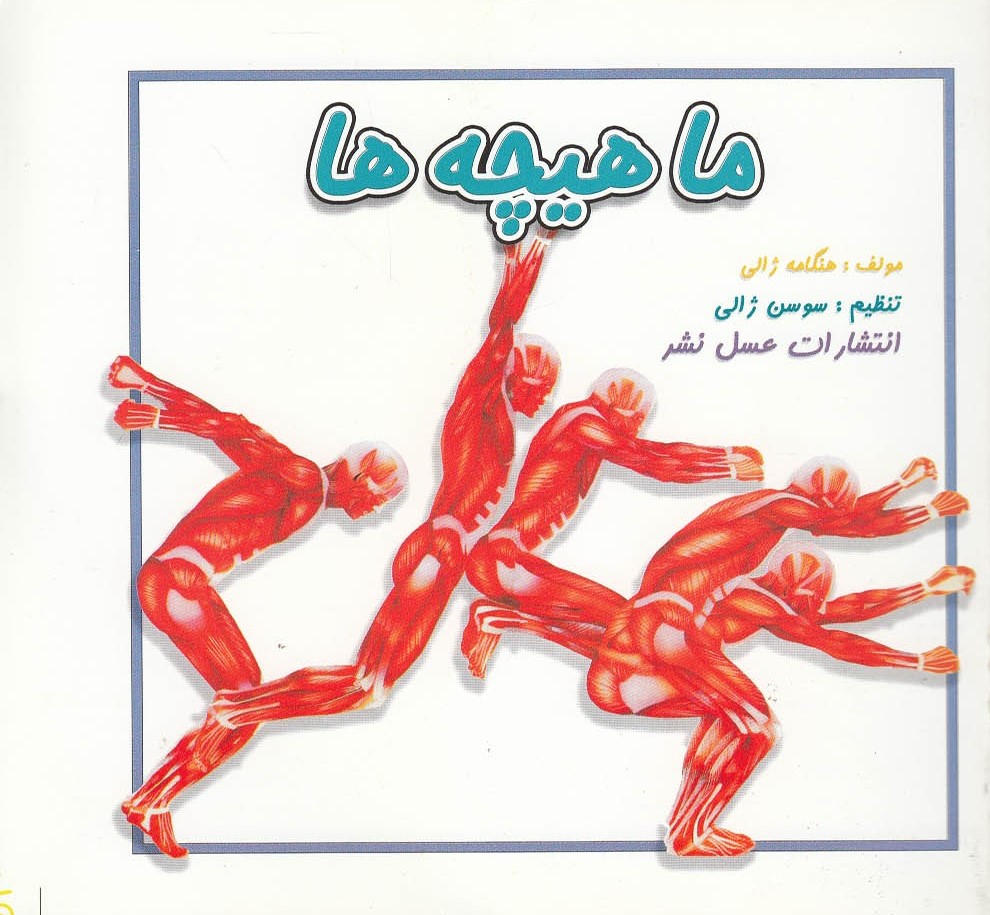 پایانه - ماهیچه ها