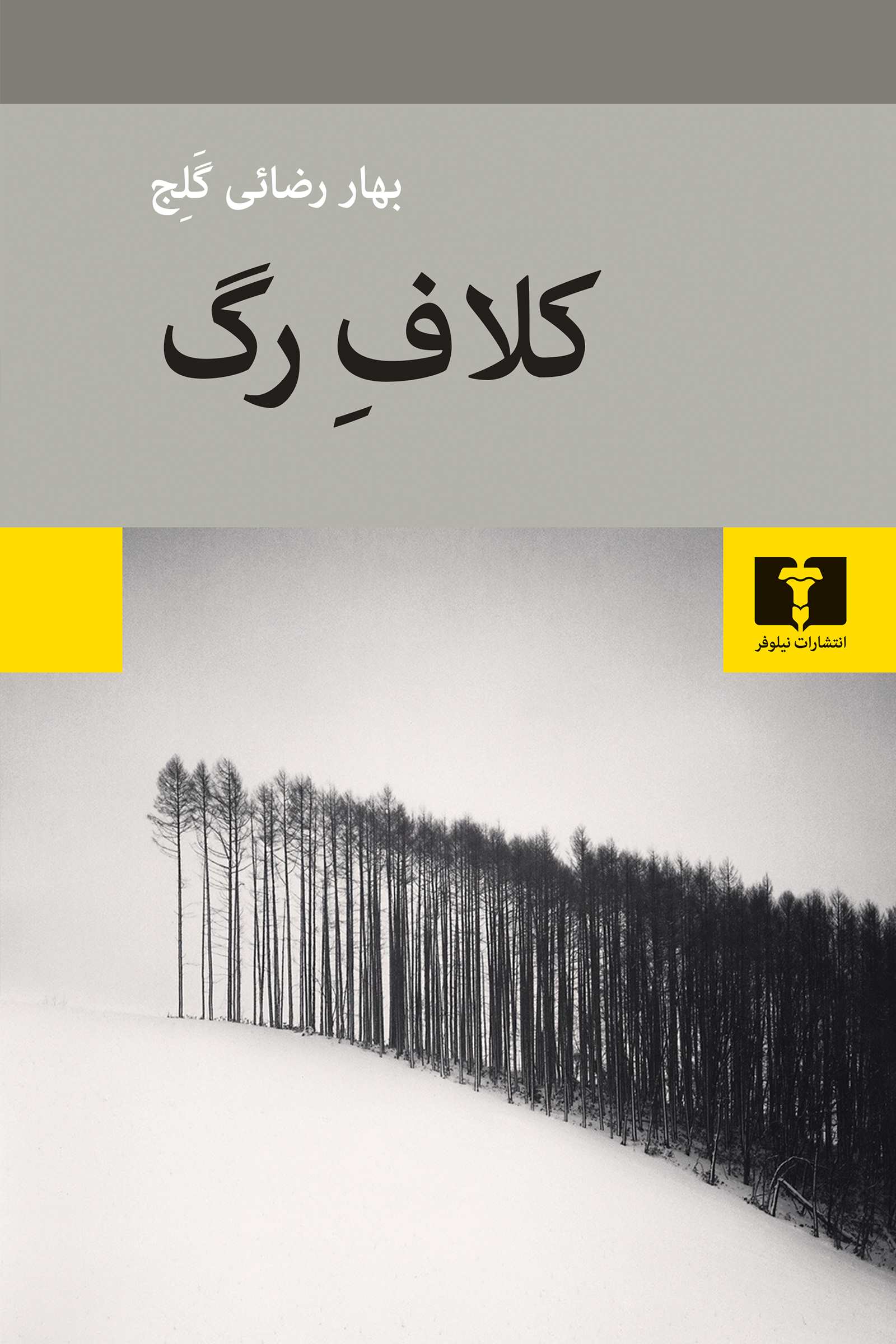 پایانه - کلاف رگ