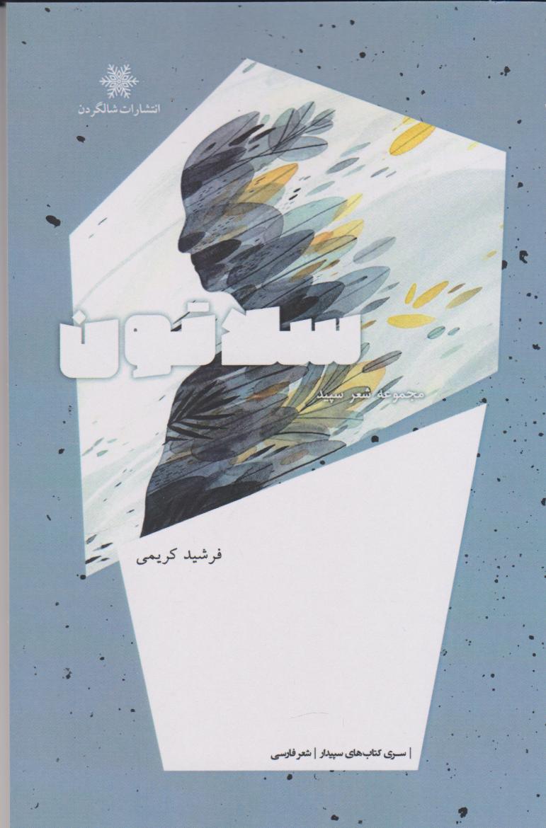 پایانه - سلاتون