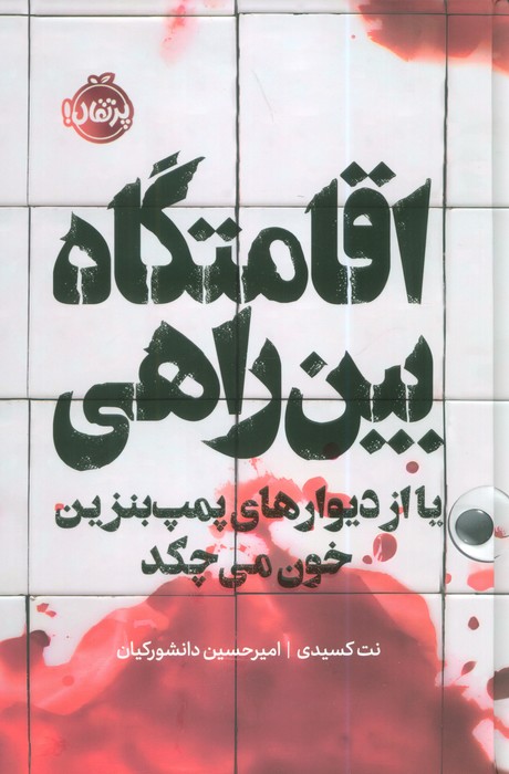 پایانه - اقامتگاه بین راهی