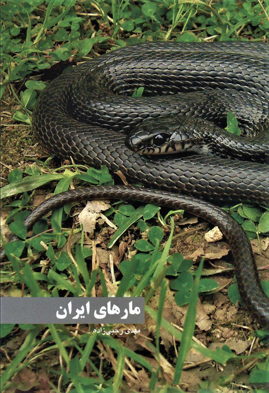 پایانه - مارهای ایران