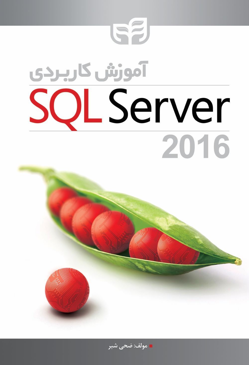 پایانه - آموزش کاربردی SQL Server 2016