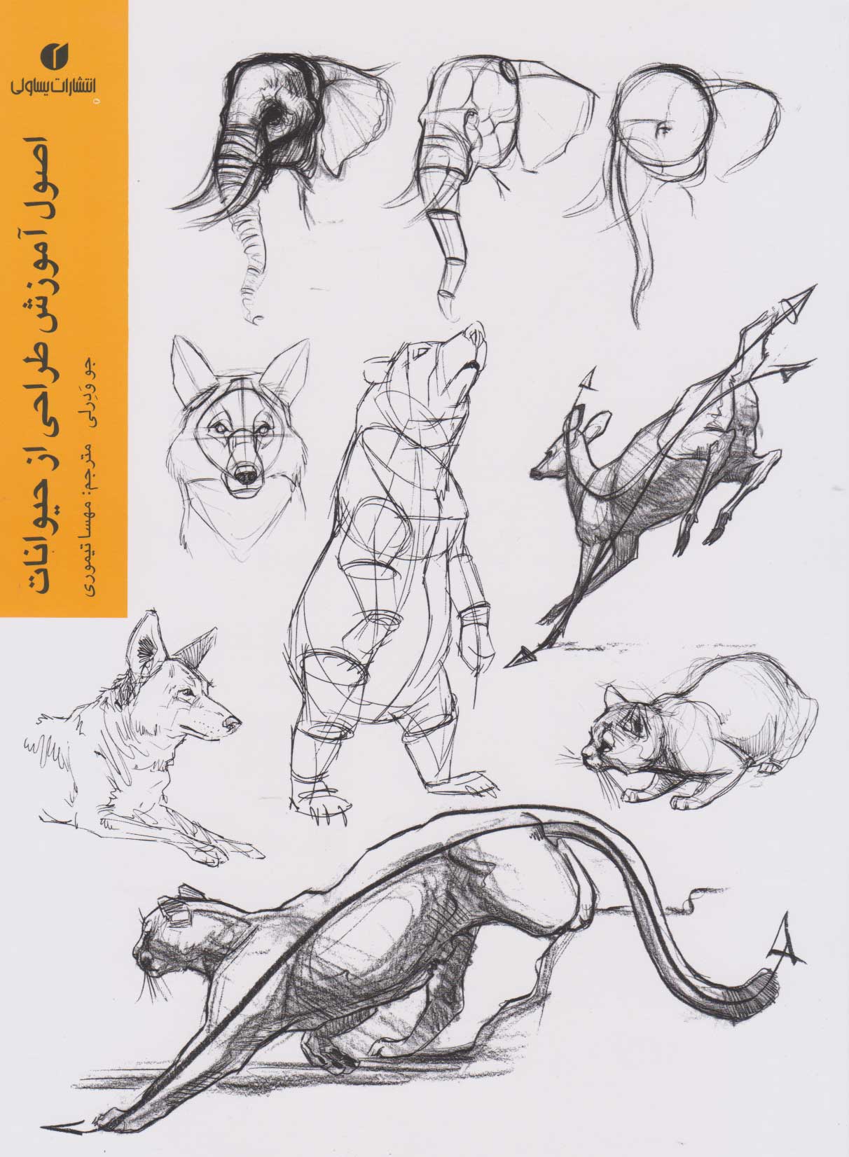 پایانه - اصول آموزش طراحی از حیوانات