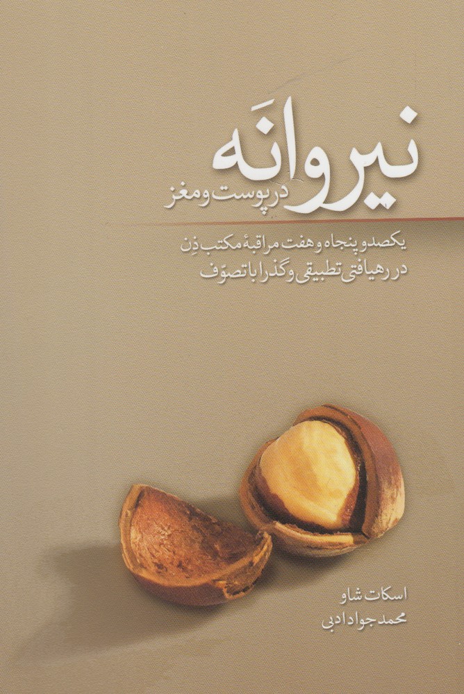 پایانه - نیروانه در پوست و مغز