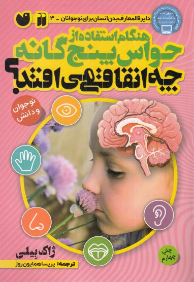 پایانه - هنگام استفاده از حواس 5 گانه چه اتفاقی می افتد؟