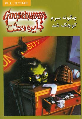 پایانه - چگونه سرم کوچک شد