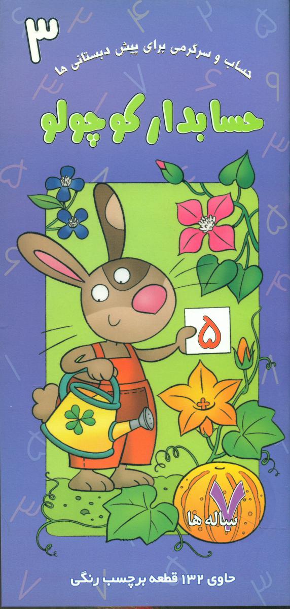 پایانه - حسابدار کوچولو