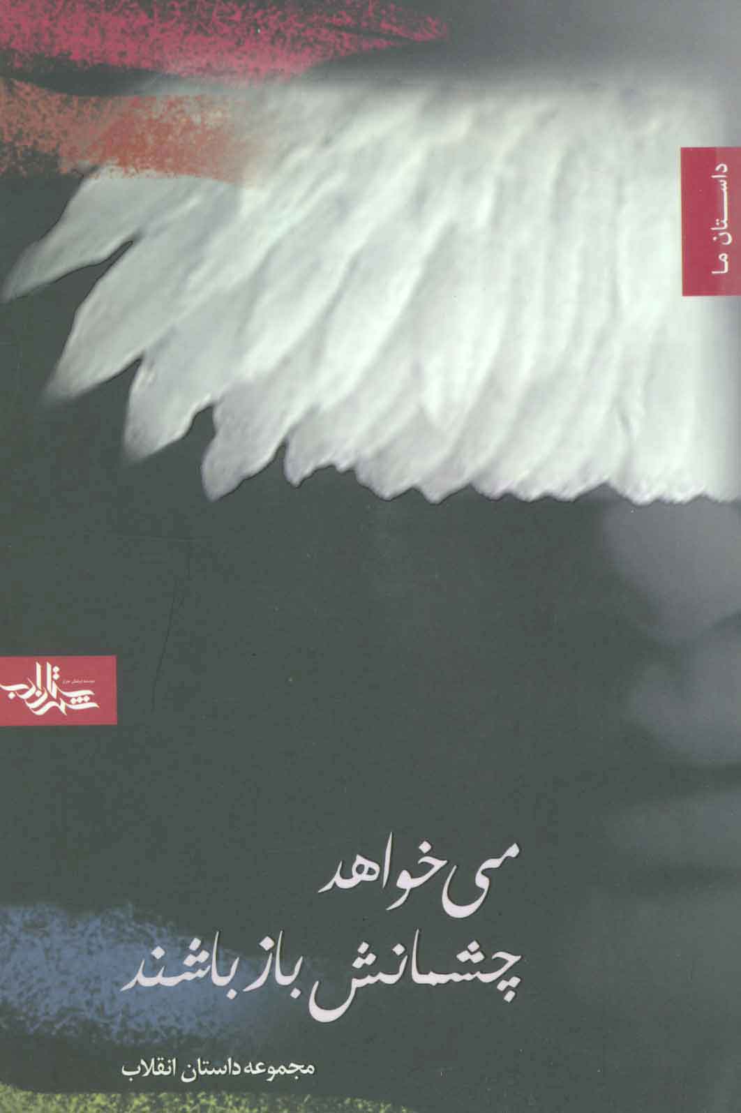 پایانه - می خواهد چشمانش باز باشند