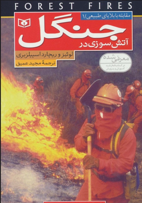 پایانه - آتش سوزی در جنگل