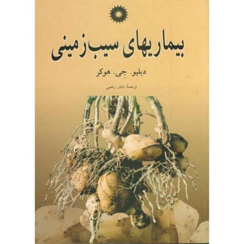 پایانه - بیماریهای سیب زمینی