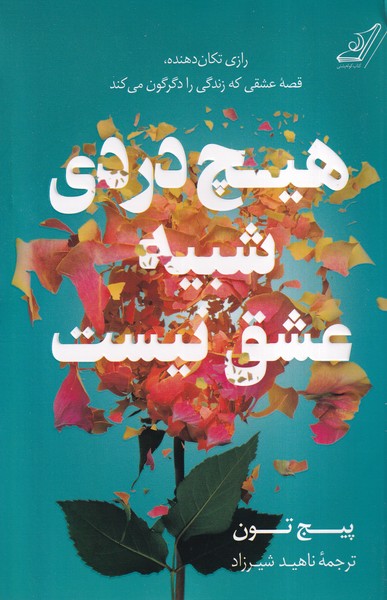 پایانه - هیچ دردی شبیه عشق نیست