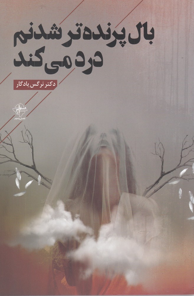 پایانه - بال پرنده تر شدنم درد می کند