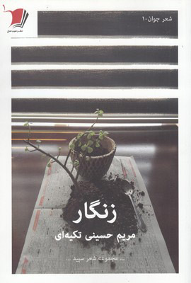 پایانه - زنگار