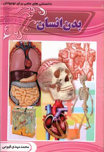 پایانه - بدن انسان