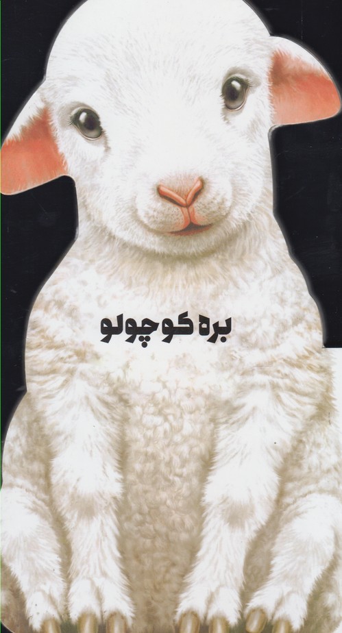 پایانه - بره کوچولو