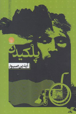 پایانه - پلکیدن