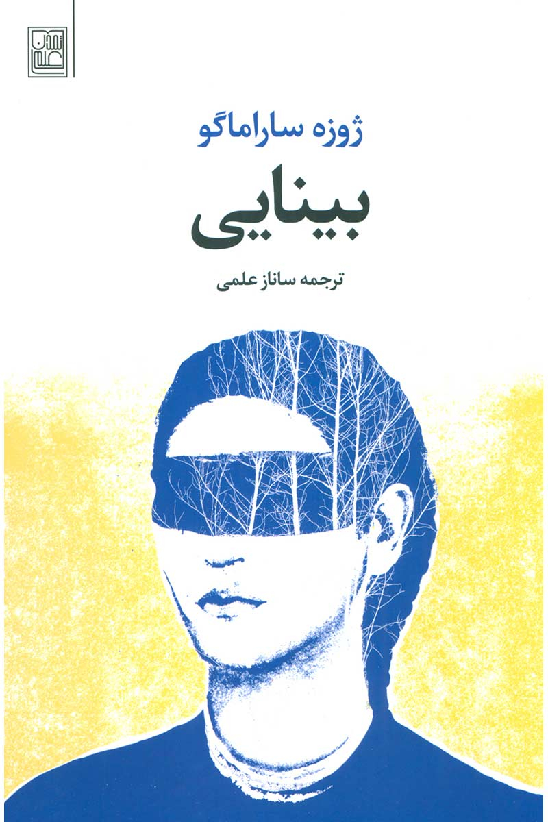 پایانه - بینایی