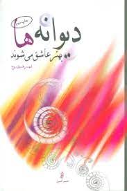 پایانه - دیوانه ها بهتر عاشق می شوند