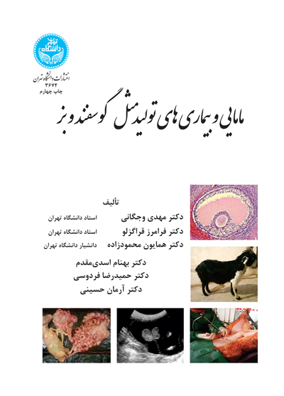 پایانه - مامایی و بیماری  های تولیدمثل گوسفند و بز