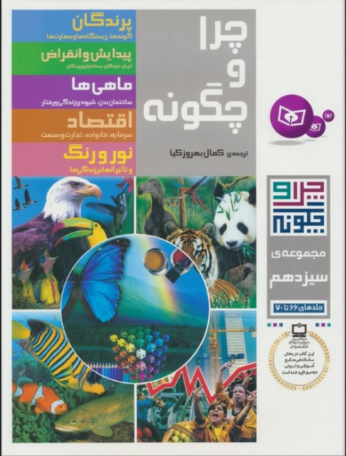 پایانه - چرا و چگونه (مجموعه سیزدهم:جلدهای 66تا70)