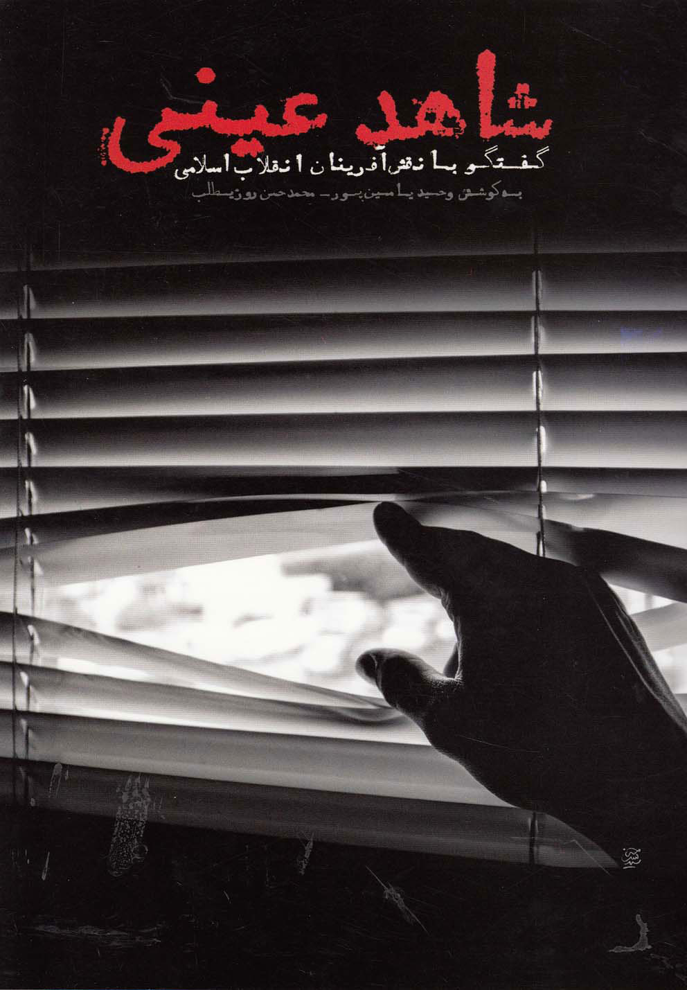 پایانه - شاهد عینی