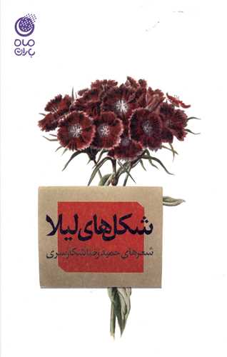 پایانه - شکل های لیلا