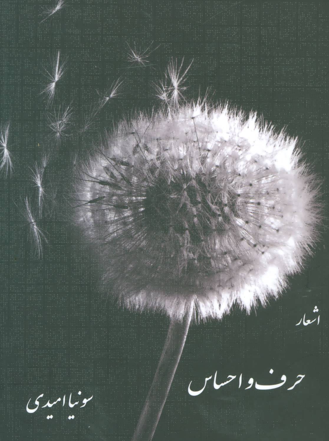 پایانه - حرف و احساس