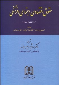 پایانه - حقوق اقتصادی, اجتماعی و فرهنگی