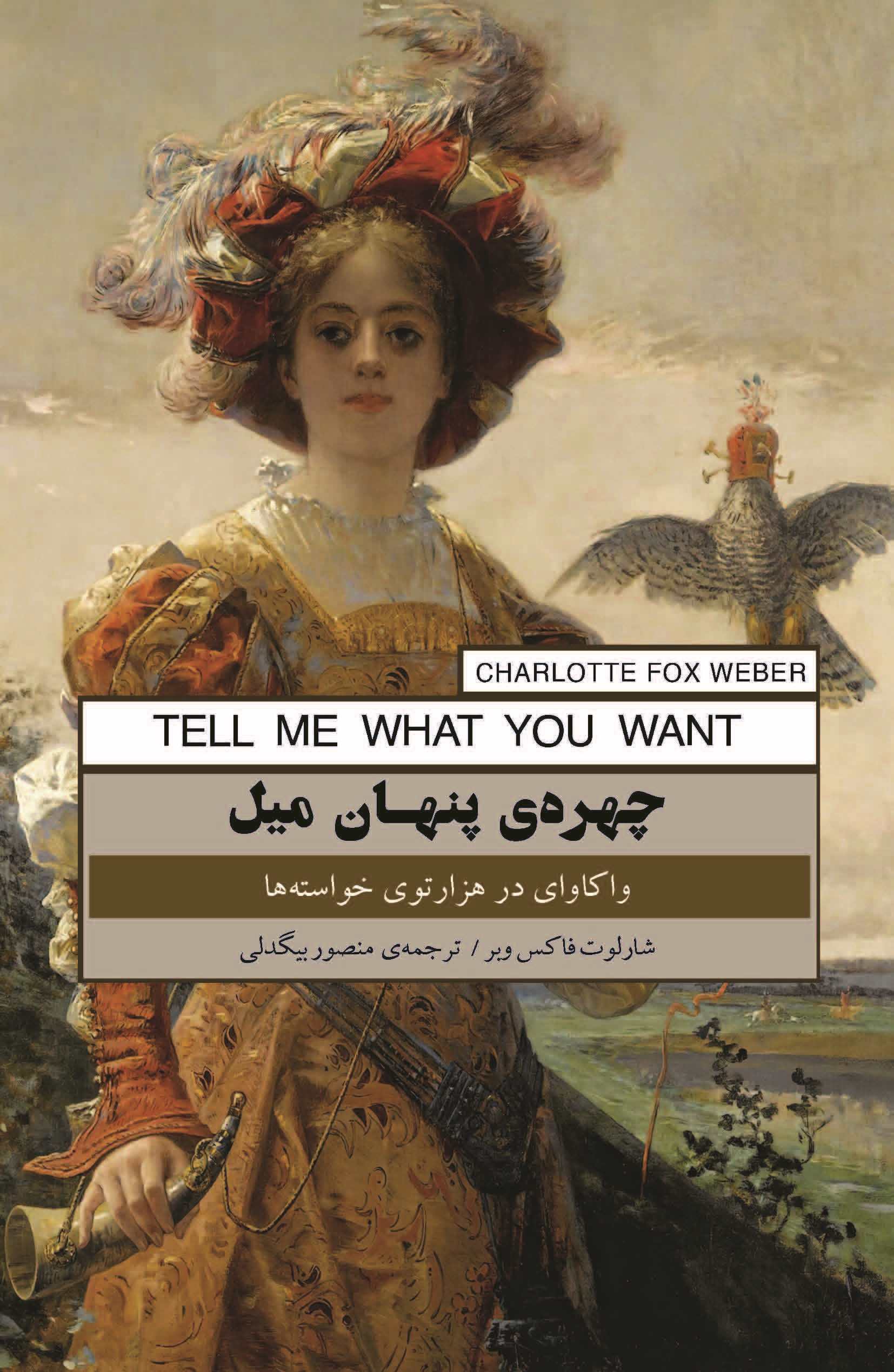 پایانه - چهره پنهان میل