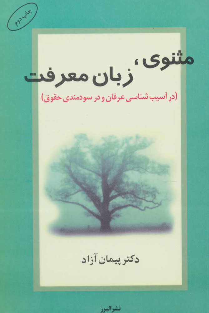 پایانه - مثنوی، زبان معرفت