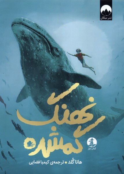 پایانه - نهنگ گمشده