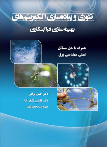 پایانه - تئوری و پیاده سازی الگوریتم های بهینه سازی فرا ابتکاری