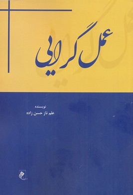 پایانه - عمل گرایی