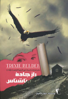 پایانه - راز جاده ناشناس