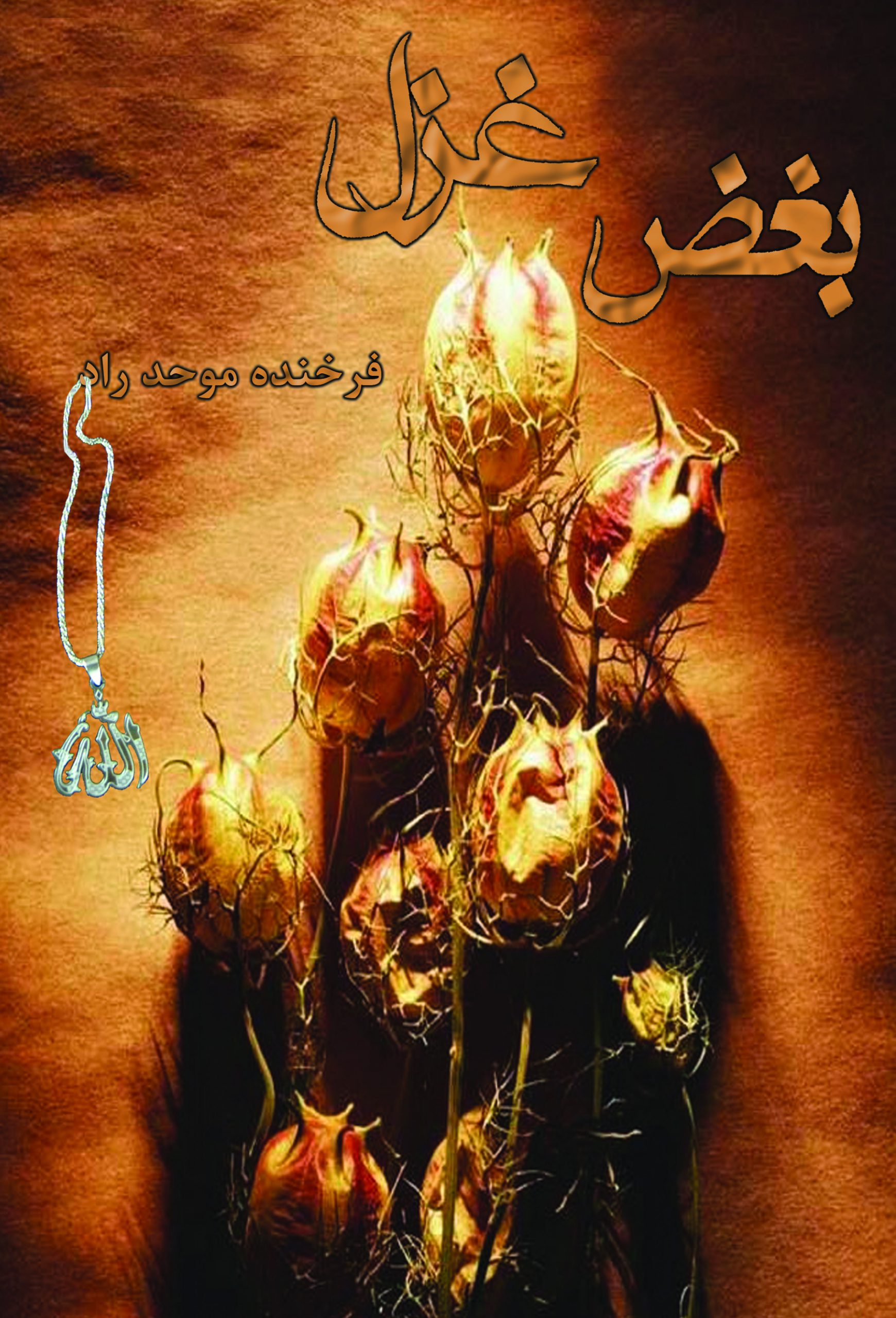 پایانه - بغض غزل