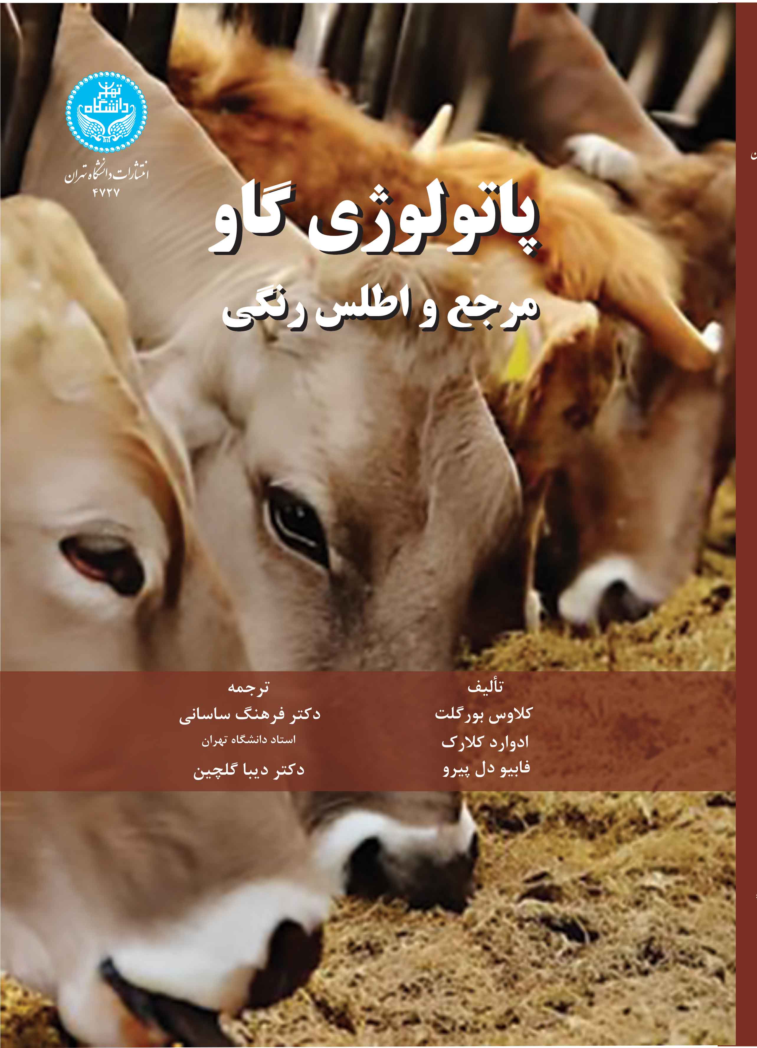 پایانه - پاتولوژی گاو