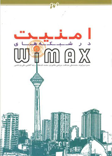 پایانه - امنیت در شبکه های Wimax