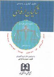 پایانه - حقوق کیفری و پدیده شاکیان حرفه ای
