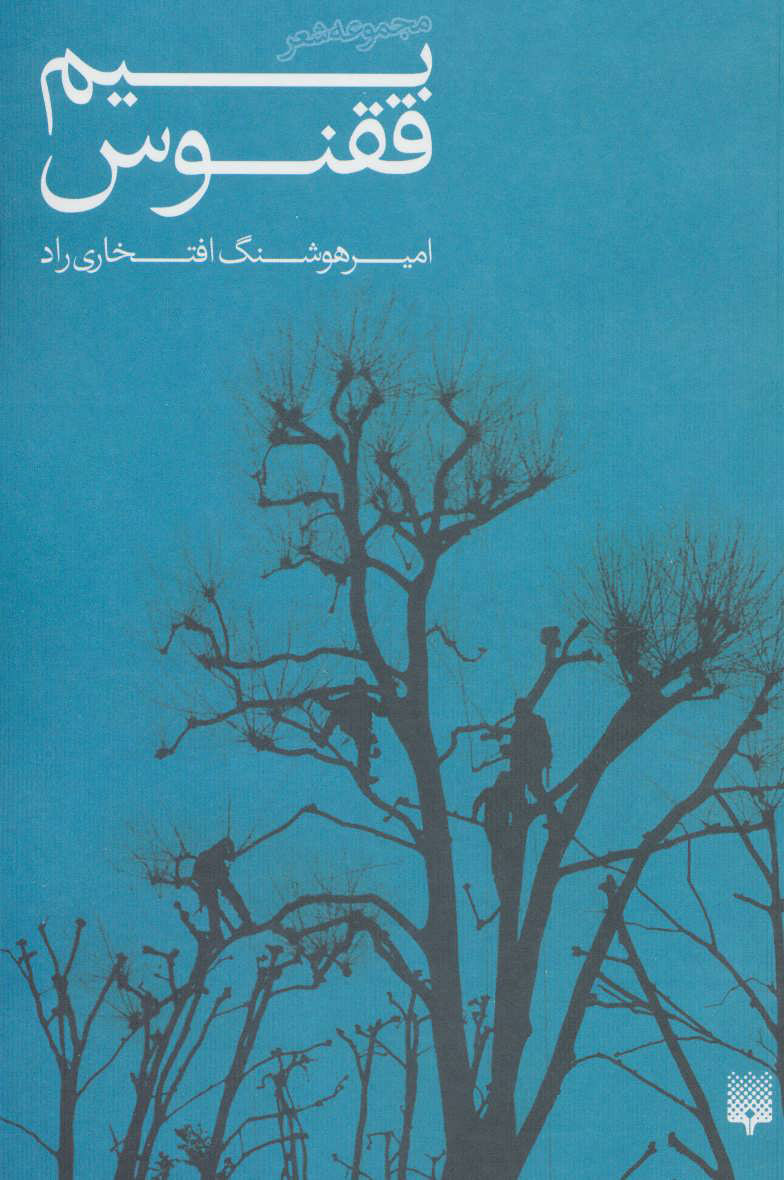 پایانه - بیم ققنوس