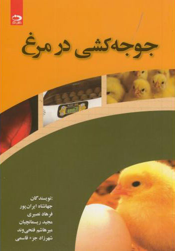 پایانه - جوجه کشی در مرغ